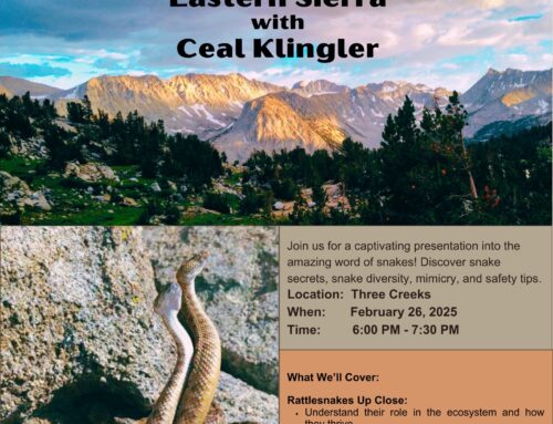Rattlesnake Lecture Feb 26