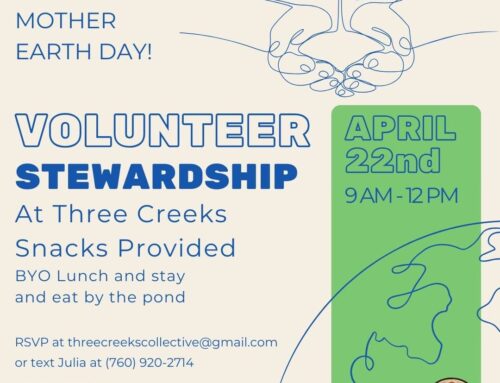 Earth Day Stewardship at Three Creeks