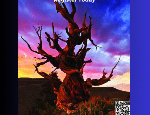 2025 Environmental Youth Camp